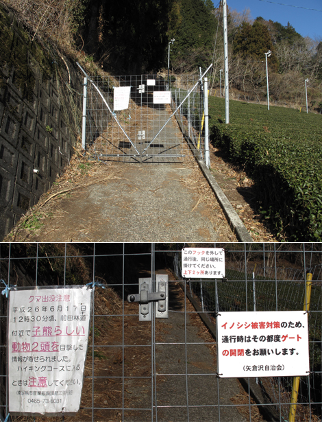 20180116hike (17)